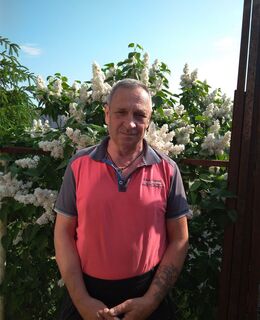 shamil6661954@mail.ru